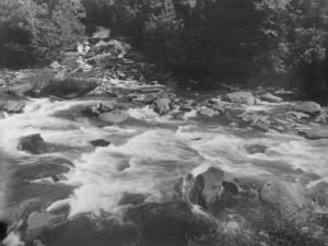 Rocky Mountain Stream with White Water by Bayard Wootten