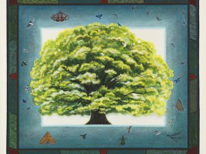 Chatham Oak by Robin Hanes