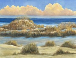 Fort Macon Dunes by David Addison