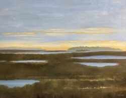 Marshland Mystic by David Addison