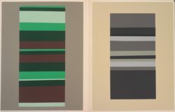 Interaction of Color XVIII-8