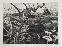 Garden at Eugaria by Joseph Cave