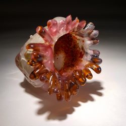 Conch Anemone by Sally Resnik Rockriver