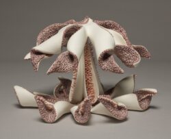 Unveil by Holly Fischer