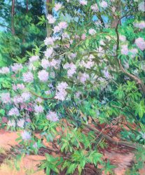 Reynolda Rhododendron Triptych Panel A by Elsie Dinsmore Popkin