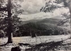 View of Mount Mitchell from Clarkson's Knob by Bayard Wootten