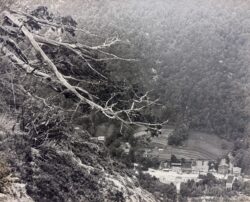 Chimney Rock, NC by Bayard Wootten