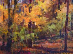 Interior Glimmer by Trey Finney