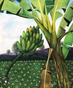 Bananier by Jean Laguerre