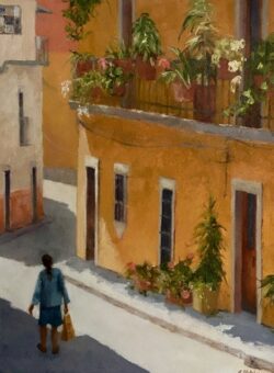 Between Light and Shadow