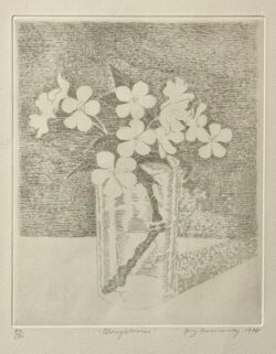 Cherryblossoms