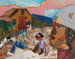 Generations - Cotton by Eric McRay