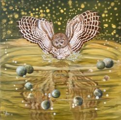 Midnight Hoot Owl by Lee Mims