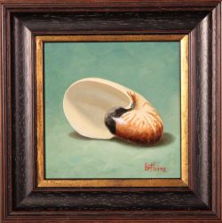 Nautilus Shell by Bert Beirne
