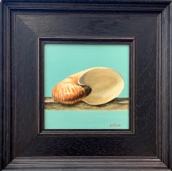 Nautilus Shell (III) by Bert Beirne