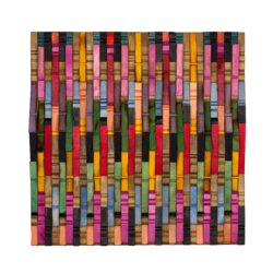 PINS s24 by Davis Choun