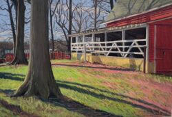 Children's Home Barn with Calves