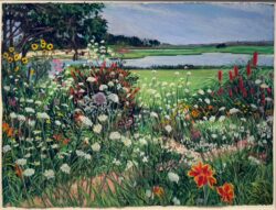 Nita's Garden: Queen Anne's Lace