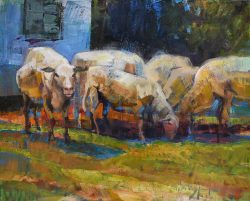 Rural Raiders by Trey Finney