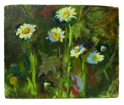 Cherrydale, VA - Daisies