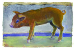 Pig