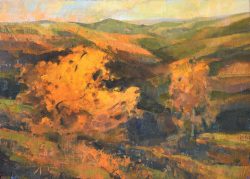 Subsiding Ridges by Trey Finney
