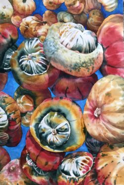 Turban Squash
