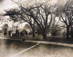 Untitled by Bayard Wootten