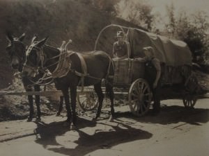Mule Drawn Covered Wagon by Bayard Wootten