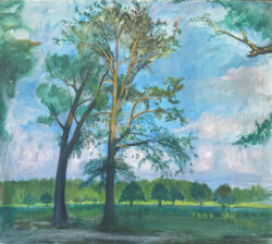 Old Oaks at Speight Homeplace by Francis  Speight