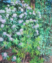 Reynolda Rhododendron Triptych Panel C by Elsie Dinsmore Popkin